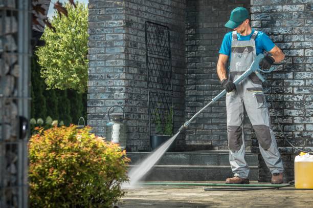 Best Roof Cleaning and Mildew Removal in USA